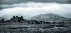 226B7089-Edit